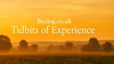 Tidbits of Experience