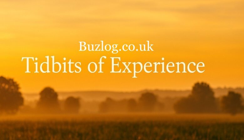 Tidbits of Experience