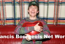 Francis Bourgeois Net Worth