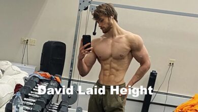 David Laid Height