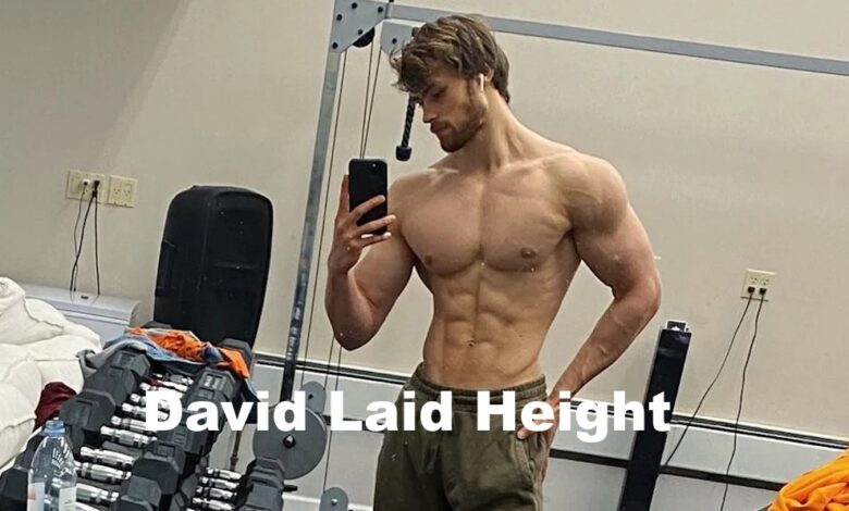 David Laid Height